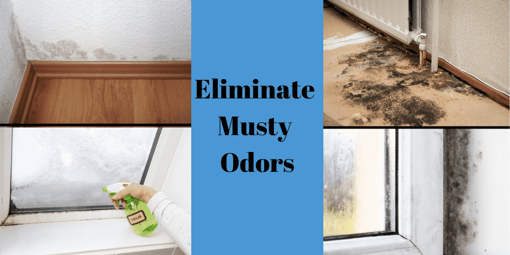 get rid of musty odors for staging