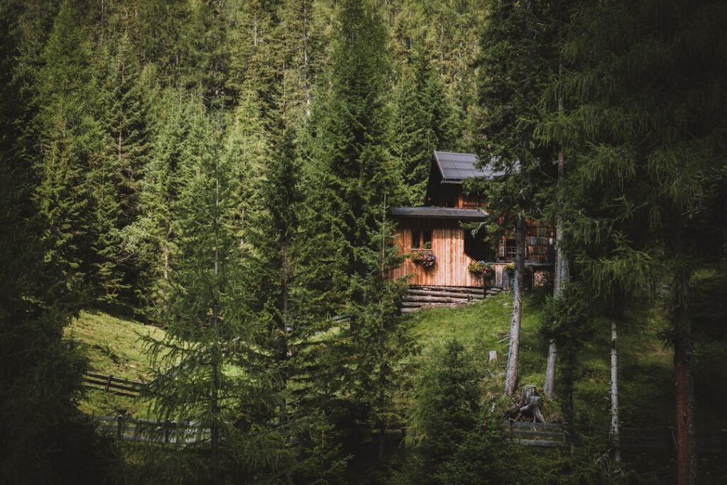 Modern luxury home with large windows nestled among tall ponderosa pine trees in the Colorado mountains, bathed in bright ...